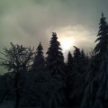 IMG_20150201_112842582
