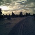IMG_20150201_153321555