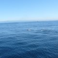 2015_08_13_11_42_17