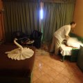 2015_10_19_10_58_02