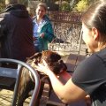 IMG_20151108_130312169