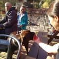IMG_20151108_130315349