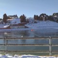 IMG_20151223_111019781