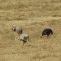 2016_07_27_11_41-001