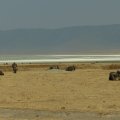 2016_07_29_16_06(2)