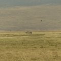 2016_07_29_16_31-001