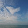 2016_10_12_12_39-001