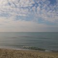 2016_10_12_12_39