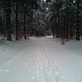 IMG_20170115_122310442
