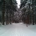 IMG_20170115_122314147