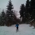 IMG_20170115_122535452