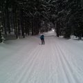 IMG_20170115_144515210