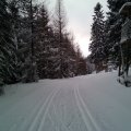 IMG_20170115_144531282