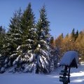 IMG_20170121_133023638