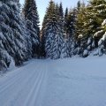 IMG_20170121_133037398