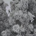 IMG_20170128_115206790
