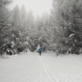 IMG_20170128_120941830