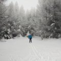 IMG_20170128_120944818