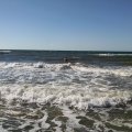 IMG_20170604_174314
