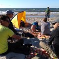 IMG_20170604_182832230