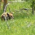 2017_07_04_14_13-001