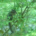 2017_07_13_19_27-001