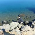 2017_07_14_10_21-004