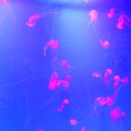 2017_10_02_12_28-003