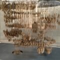 Das "Hängemodel" der Sagrada Familia