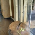 Kunst! Preis steht leider nicht dran.