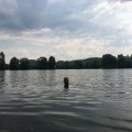 2018_06_17_11_29.