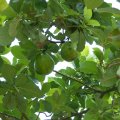 2018_07_21_18_16-001