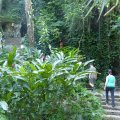 Eingang zur Cueva del Indio