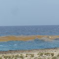 Irgendwas schwimmt da im Meer. . . :?