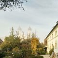 IMG_20181018_090538