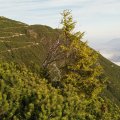 IMG_20181018_102655