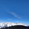 2019_01_17_11_45