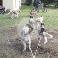 VID_2