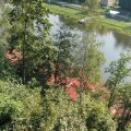 IMG_20190825_103808