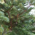 2019_09_12_16_31 (2)