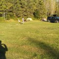 2019_09_13_17_07-001