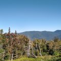 2019_09_18_15_01 (3)