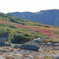 2019_09_18_15_17-001 (2)