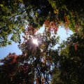 2019_09_20_10_48 (2)