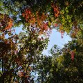 2019_09_20_10_48-001 (2)