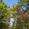 2019_09_20_10_49 (2)