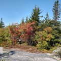 2019_09_20_11_02 (2)