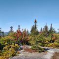 2019_09_20_11_03 (3)