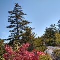 2019_09_20_11_04-001 (3)