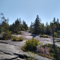 2019_09_20_11_04-002 (2)